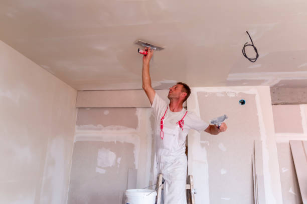 Touch-Up Painting in Red Lake, AZ